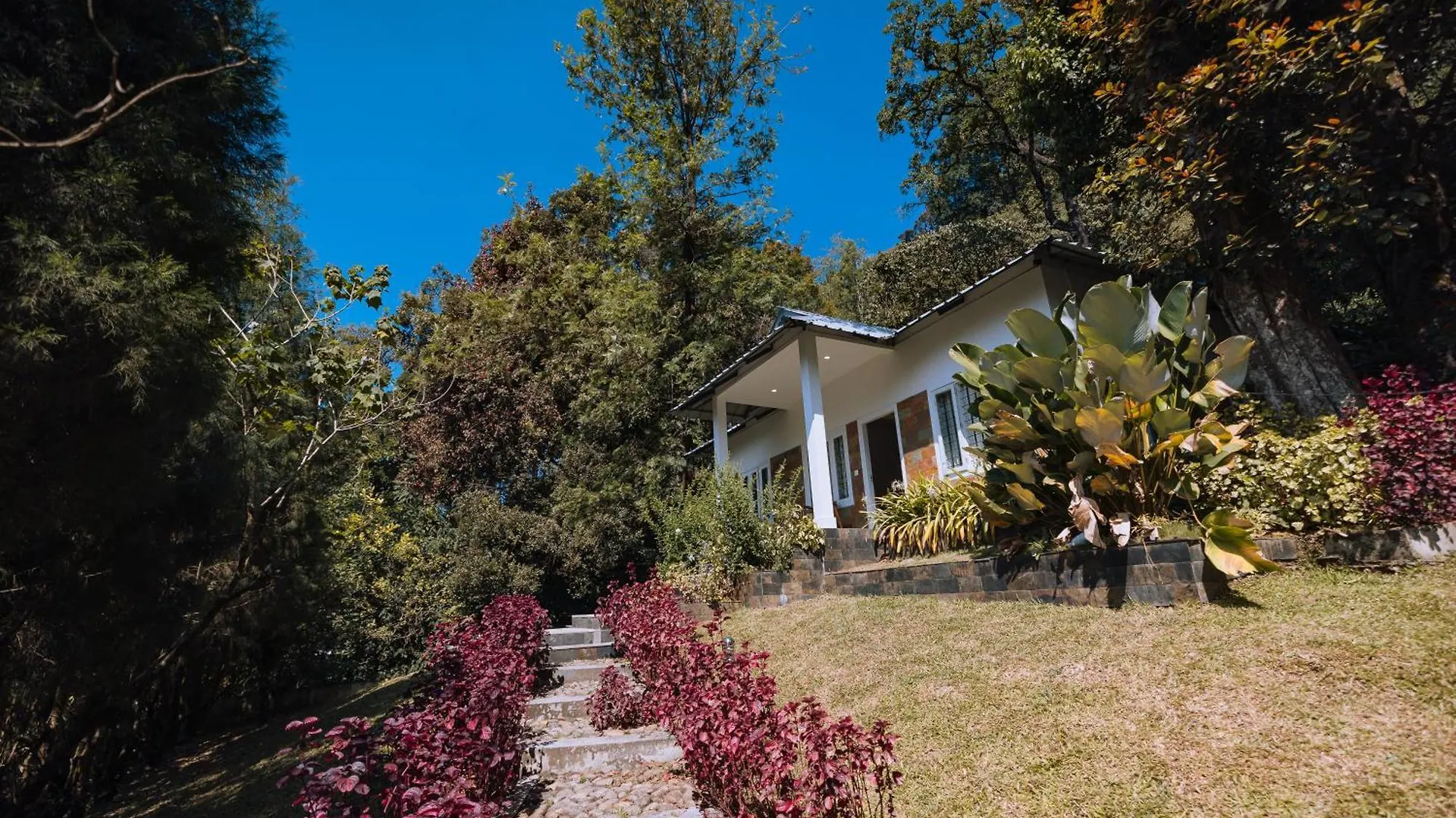 Elixir Woods Luxury Resort And Spa, Munnar