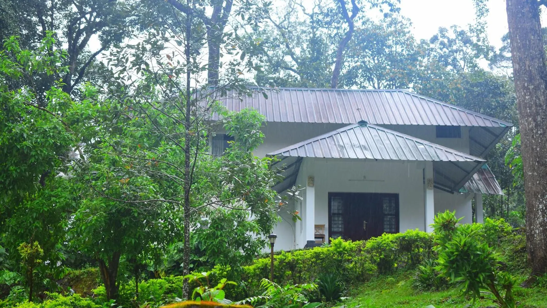 Elixir Woods Luxury Resort And Spa, Munnar India