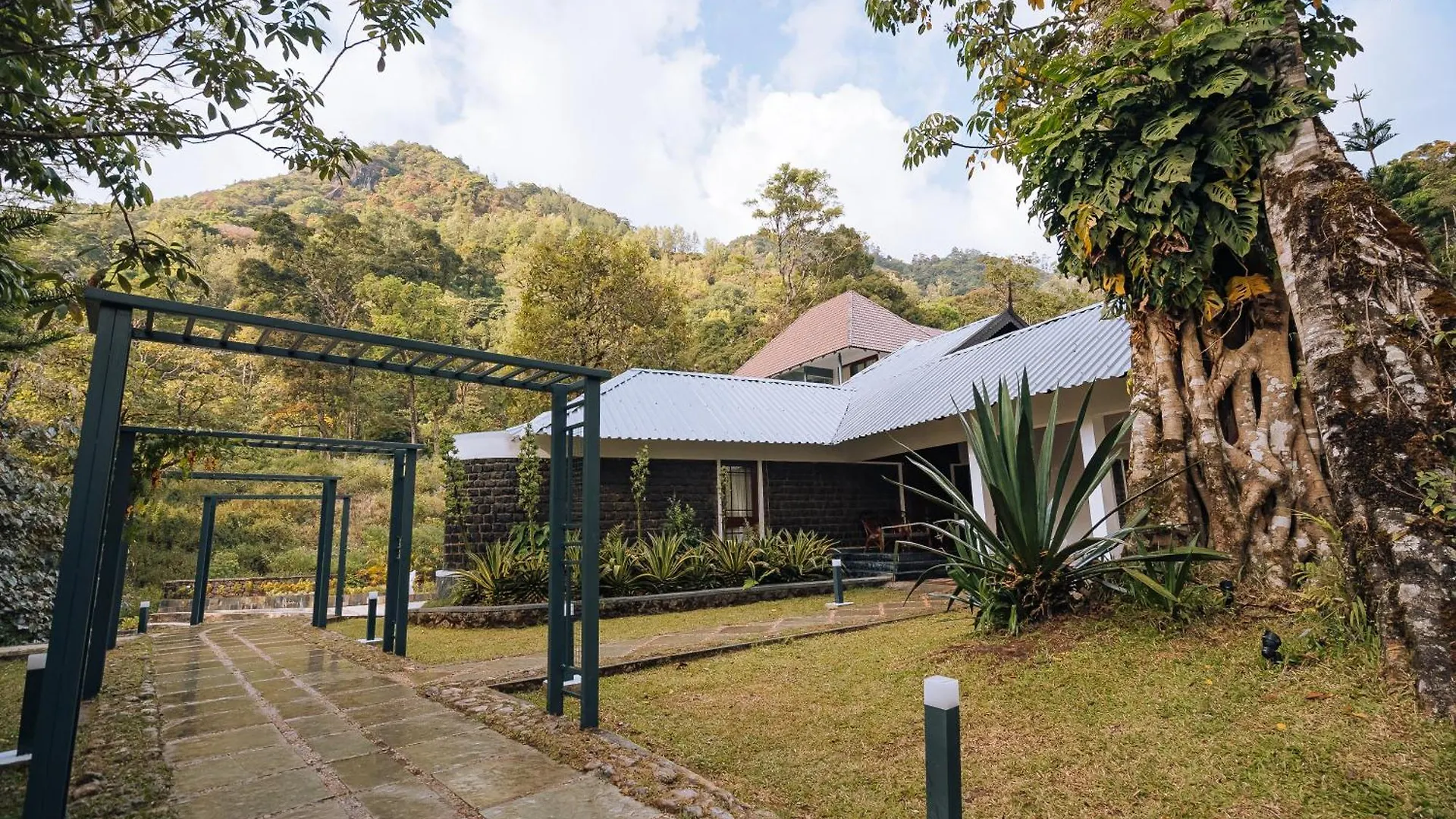 Elixir Woods Luxury Resort And Spa, Munnar India