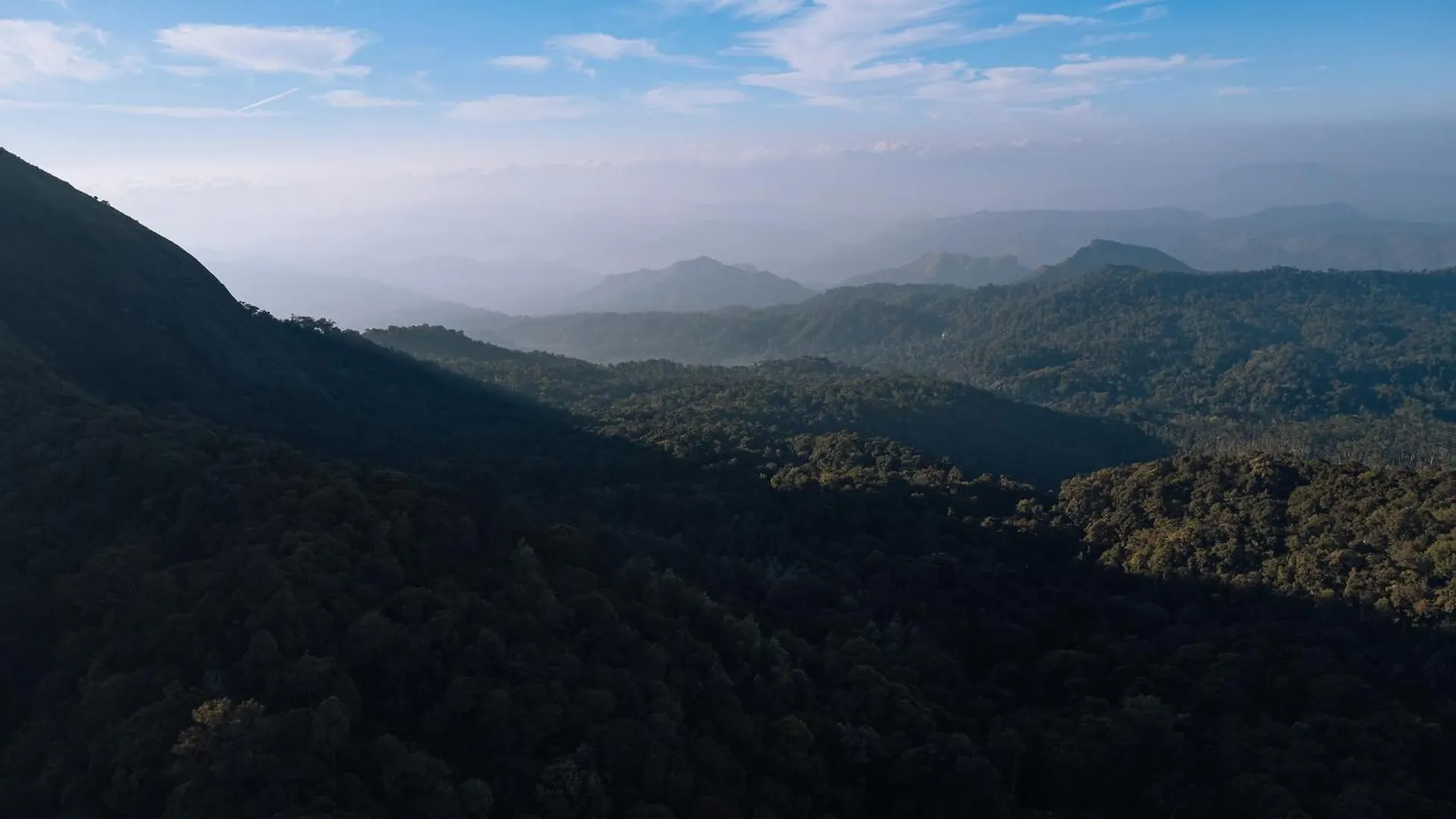 Elixir Woods Luxury Resort And Spa, Munnar