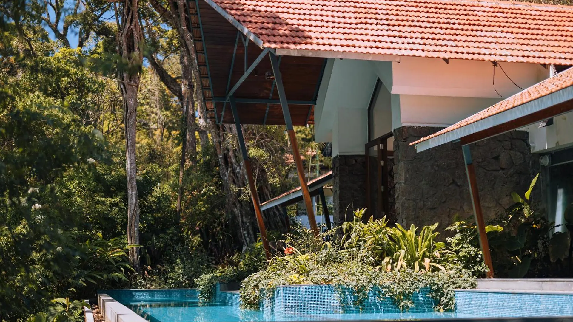 Elixir Woods Luxury Resort And Spa, Munnar
