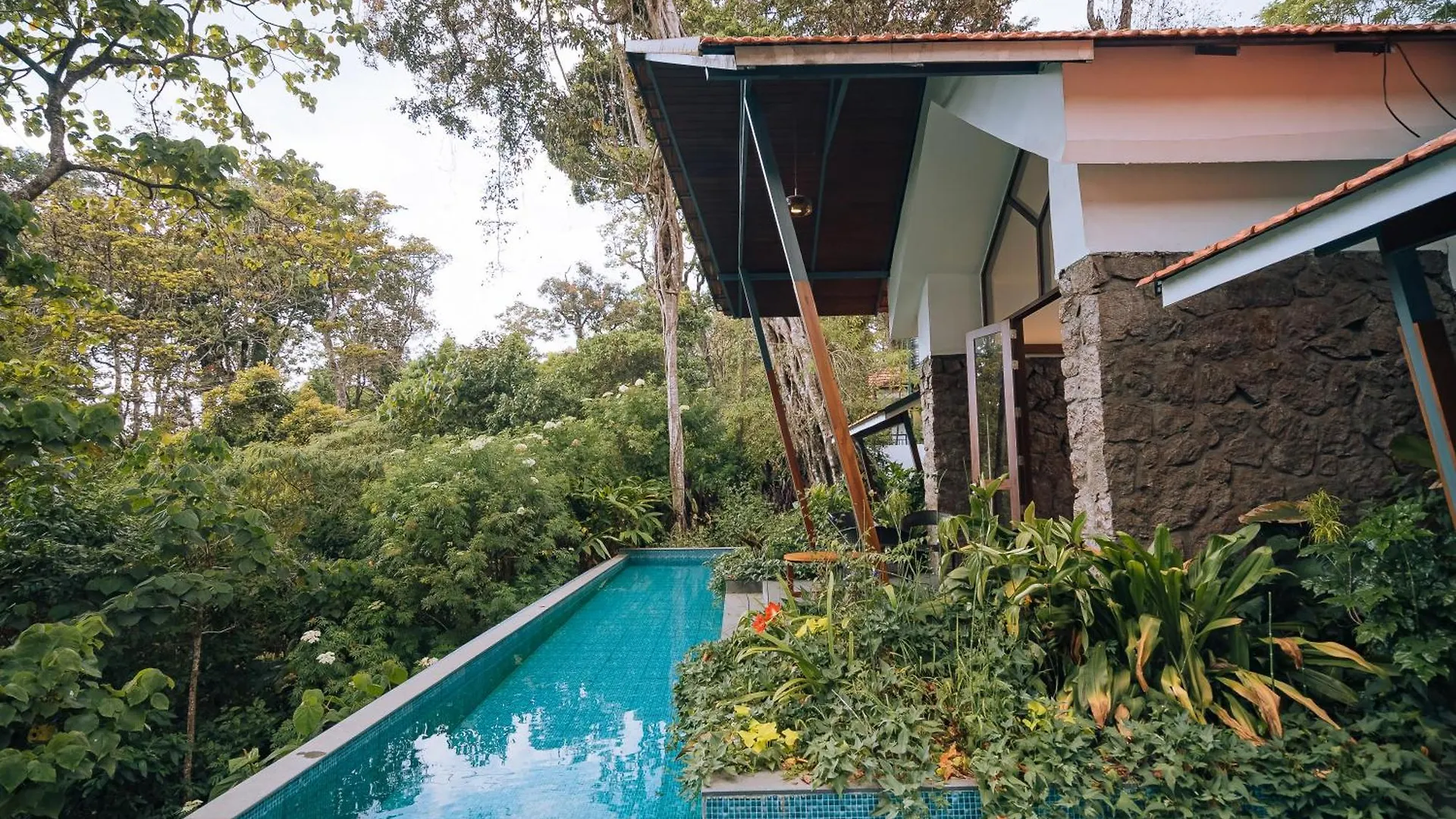 Elixir Woods Luxury Resort And Spa, Munnar