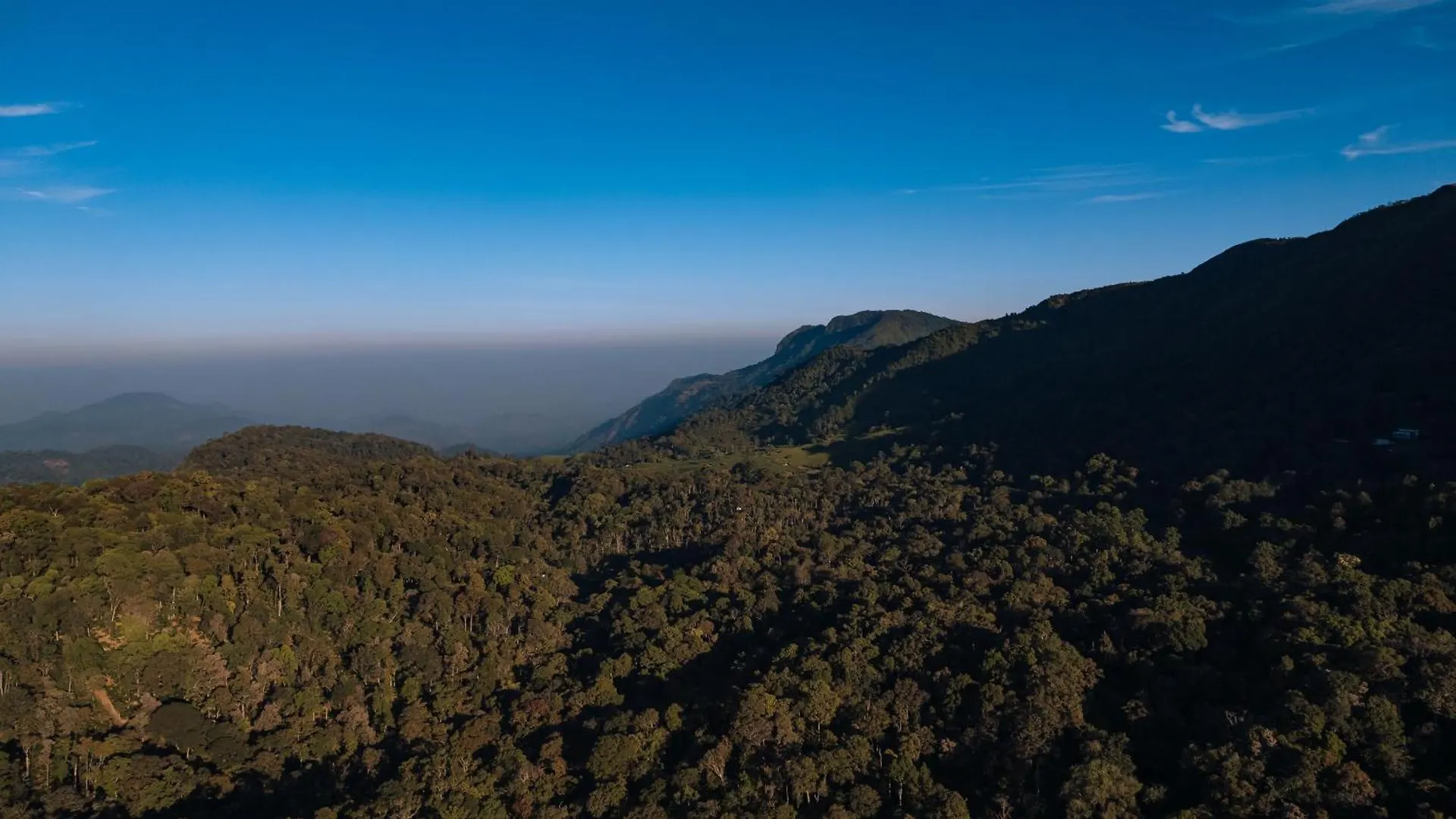 Elixir Woods Luxury Resort And Spa, Munnar