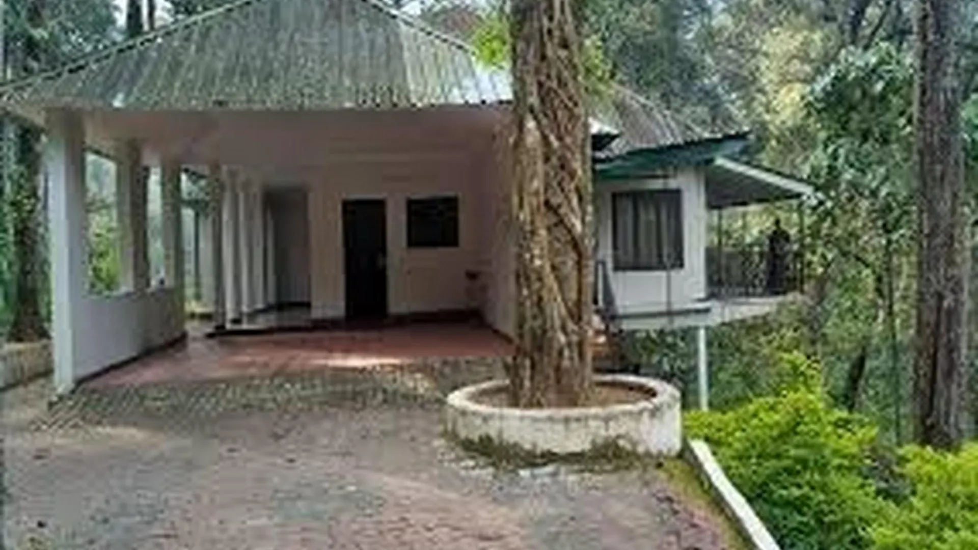 Elixir Woods Luxury Resort And Spa, Munnar