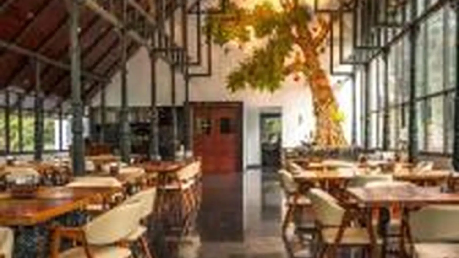 Elixir Woods Luxury Resort And Spa, Munnar 4*,  India
